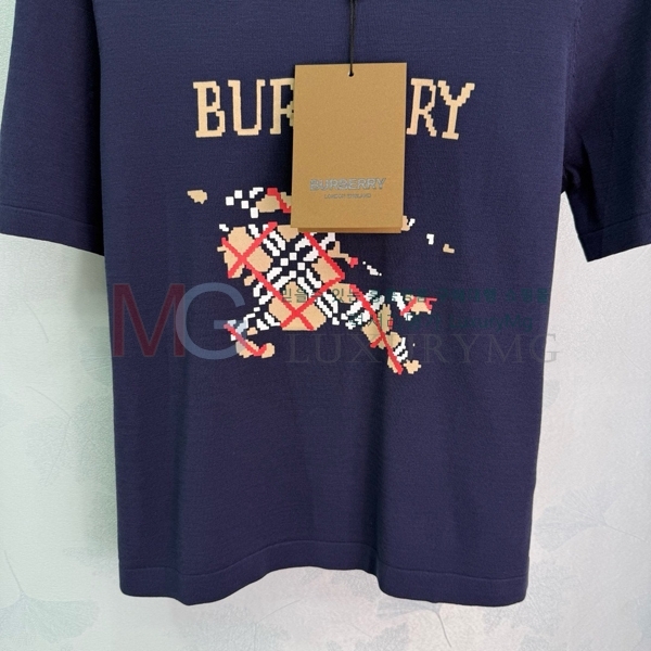    Ƽ BUR64695