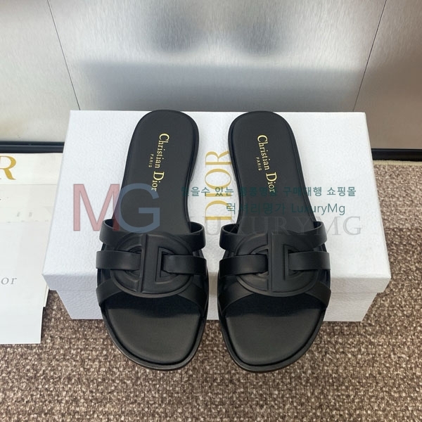    D1R6603