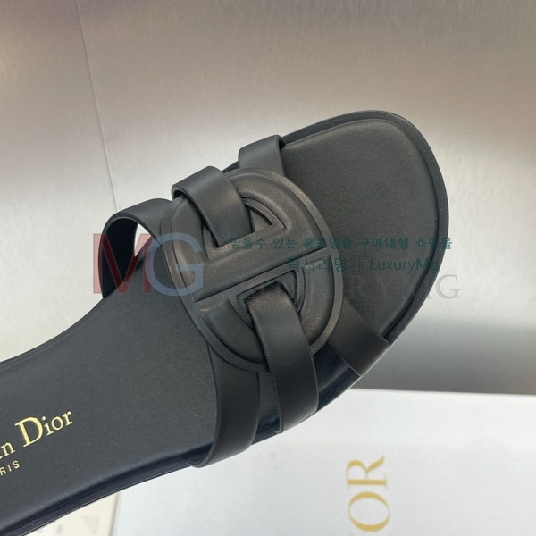    D1R6603