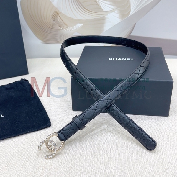   Ʈ  2cm CH371313-14