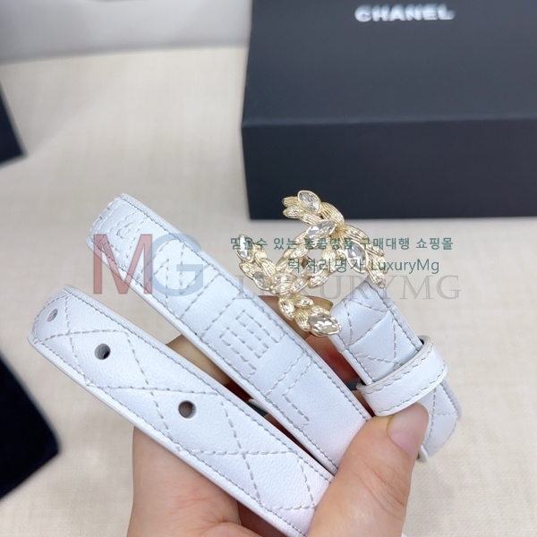   Ʈ  2cm CH371313-2