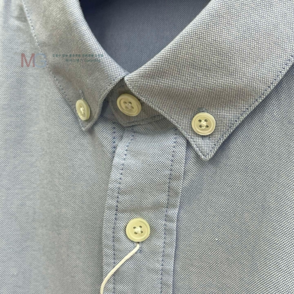  ƹ  AM253647