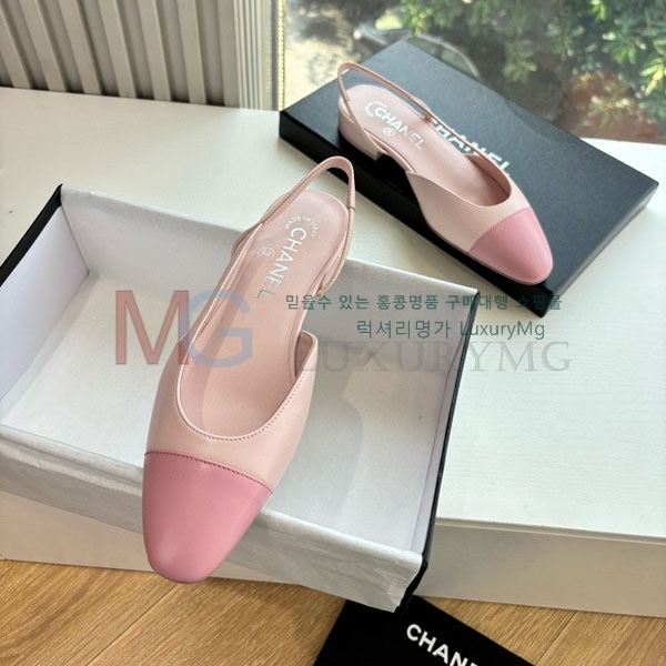    DR58637