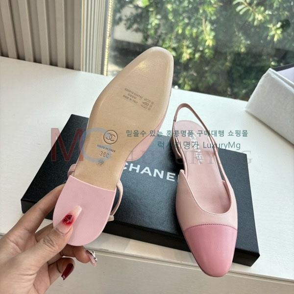    DR58637
