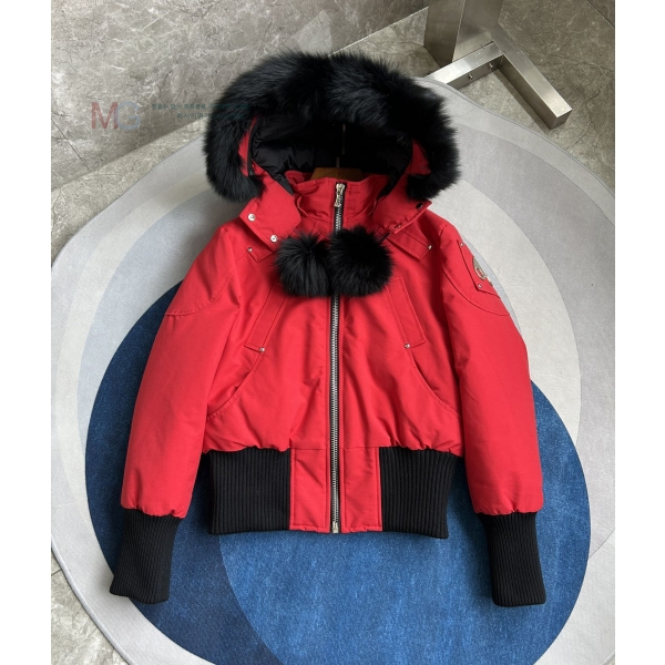  Ŭ ٿ Ʈ е M55K2110254-4