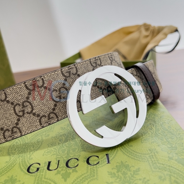   Ʈ GG3712463-3 3.8cm