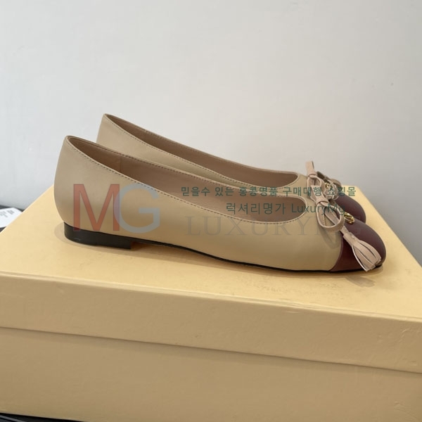 ���� �߷�Ƽ�� ������ V0066775-1