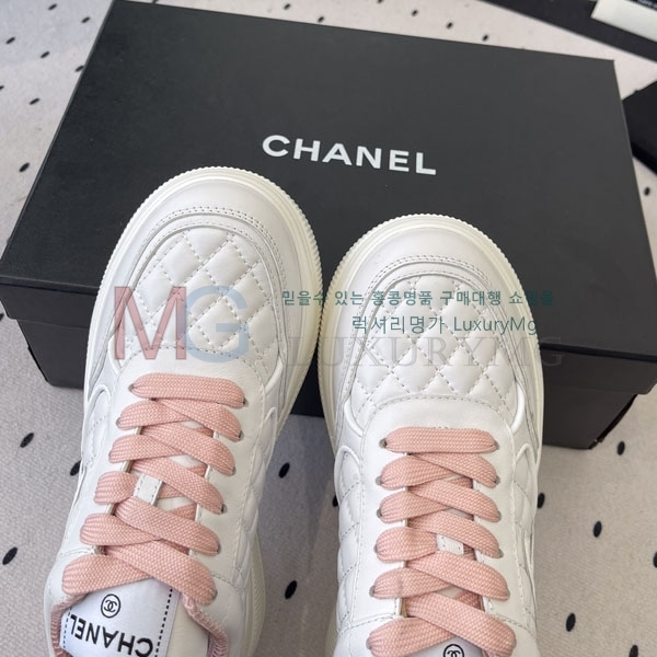 ���� ��* ����Ŀ�� AF6600262-3