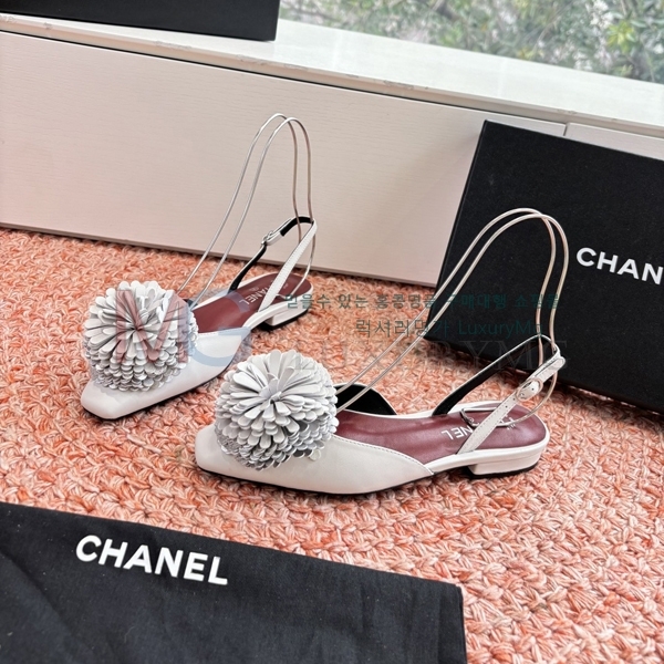 ���� ��* ������ ���� R7T137231-1