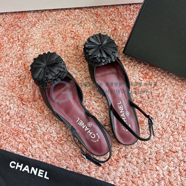 ���� ��* ������ ���� R7T137231-2