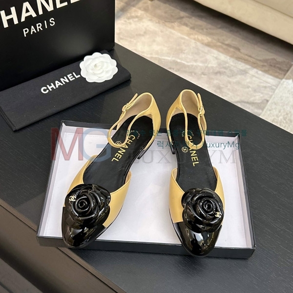 ���� ��*  �÷� ���� 3A7113328-3