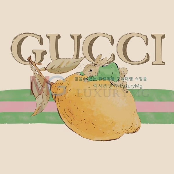 �������� ���� ����Ƽ 462487