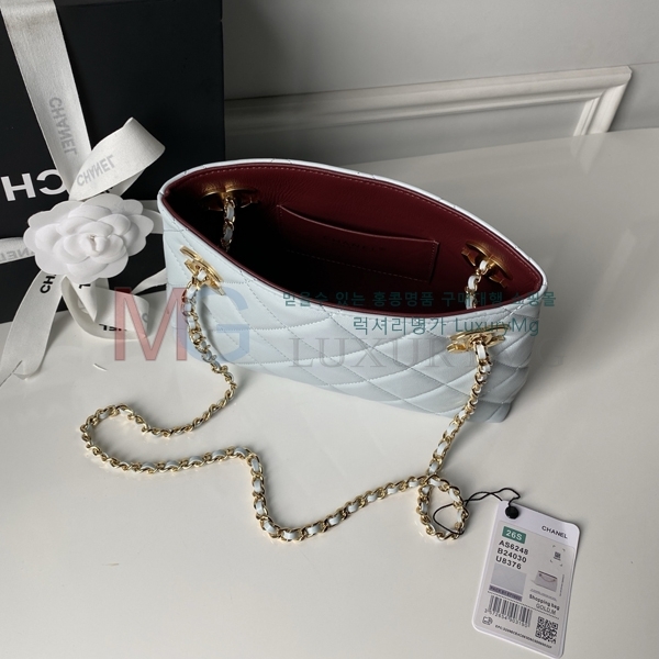 ��* ü�� ���� ���۹� AS6248-1